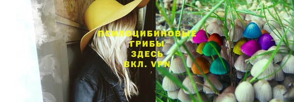 прущие грибы Белоозёрский