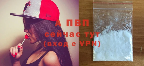 прущие грибы Белоозёрский