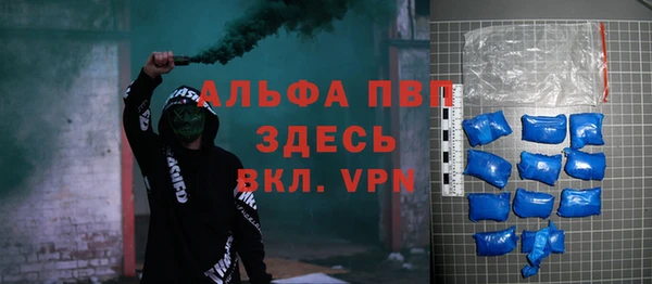 сатива Балахна