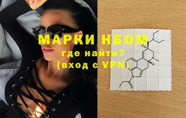 PSILOCYBIN Белокуриха
