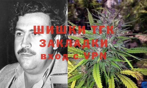 прущие грибы Белоозёрский