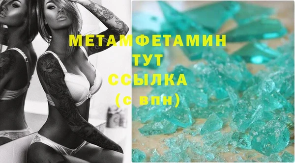 сатива Балахна