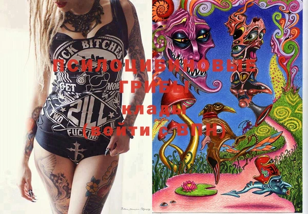 PSILOCYBIN Белокуриха