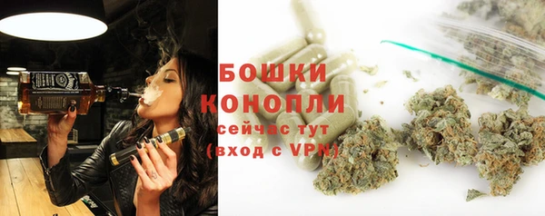 PSILOCYBIN Белокуриха