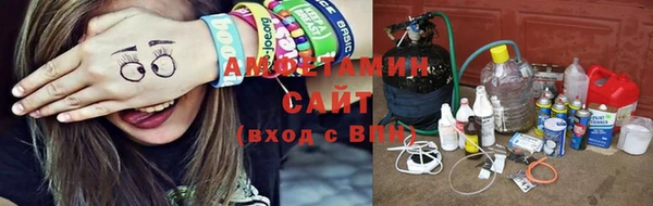 сатива Балахна